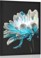 Dovido Poszter százszorszép fekete háttéren - 20x30 white