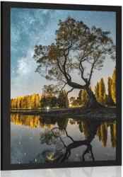 Dovido Poszter fa csillagos égbolt alatt - 60x90 black