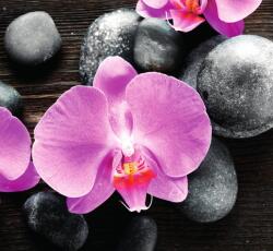 Dovido Öntapadó fotótapéta gyönyörű orchidea és kövek - 294x270