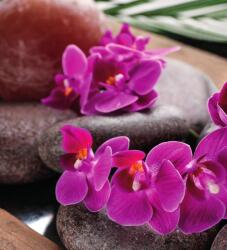 Dovido Fotótapéta csodás orchidea Zen kövekkel - 245x270