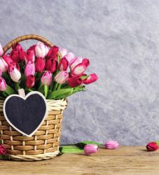 Dovido Tapéta piros tulipán kosárban - 245x270