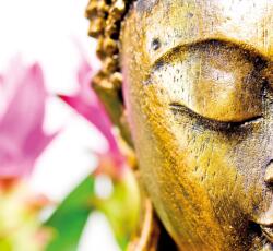 Dovido Tapéta arany Buddha arc - 294x270