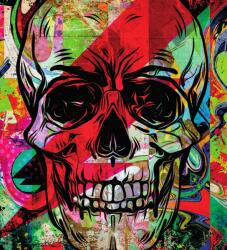 Dovido Öntapadó tapéta koponya graffiti kivitelben - 245x270