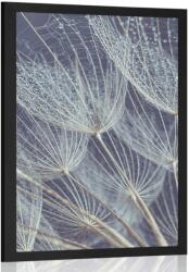 Dovido Poszter reggeli harmat csepp a pitypangon - 60x90 silver