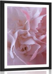 Dovido Poszter paszpartuval szegfűszirmok. - 60x90 black