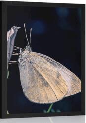 Dovido Poszter lepke a virágon - 40x60 black