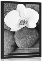 Dovido Poszter wellness kövek és orchidea fa háttéren - 20x30 no frame
