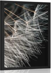 Dovido Poszter pitypang szépsége - 60x90 black