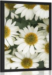 Dovido Poszter gyógyhatású kamilla virágok - 40x60 black