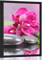 Dovido Poszter orchidea - 60x90 no frame