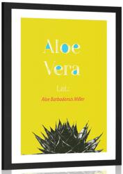 Dovido Poszter paszportuval csodás Aloe Vera - 60x90 silver