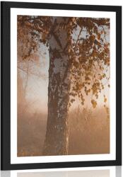 Dovido Poszter paszpartuval, ködös őszi erdő. - 30x45 white