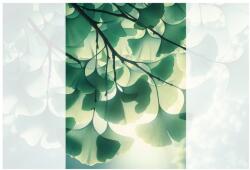 Dovido Tapéta zöld ginkgo levelek fényárban - 196x270