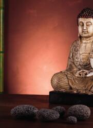 Dovido Öntapadó fotótapéta pihenő Buddha - 196x270