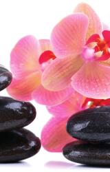 Dovido Fotótapéta SPA kövek és orchidea - 147x270