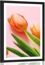 Dovido Poszter paszportuval elegáns tulipán - 60x90 silver