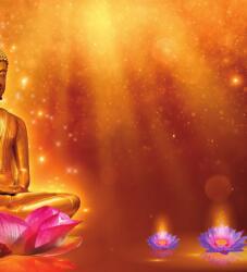 Dovido Öntapadó tapéta arany Buddha - 245x270 - dovido - 41 475 Ft