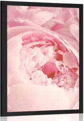 Dovido Poszter virág szirom - 60x90 white