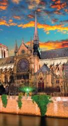 Dovido Öntapadó fotótapéta Notre Dame katedrális - 147x270