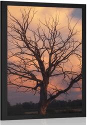 Dovido Poszter csodás fa a réten - 20x30 black