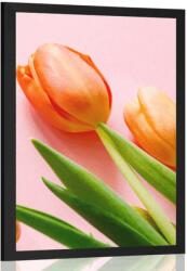 Dovido Poszter tulipán - 60x90 black