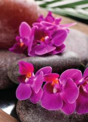 Dovido Öntapadó fotótapéta csodás orchidea Zen kövekkel - 196x270