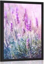 Dovido Poszter levandula virág - 40x60 no frame