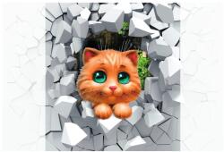Dovido Öntapadó tapéta aranyos kismacska - 245x270