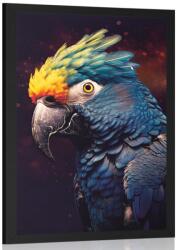 Dovido Poszter kék-arany papagáj. - 60x90 no frame