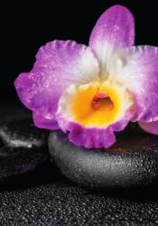 Dovido Tapéta lila orchidea Zen köveken - 147x270