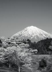 Dovido Fotótapéta Fuji hegy fekete fehérben - 196x270