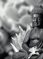 Dovido Öntapadó fotótapéta békés Buddha fekete fehérben - 196x270