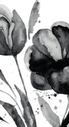 Dovido Tapéta csodás tulipán fekete fehérben - 147x270