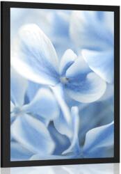 Dovido Poszter halvány kék hortenzia - 40x60 black