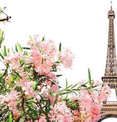 Dovido Öntapadó fotótapéta az Eiffel torony virágokkal - 245x270