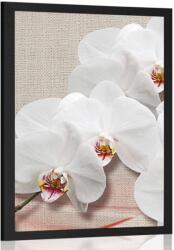 Dovido Poszter fehér orchidea vásznon - 20x30 white