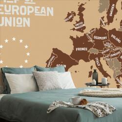 Dovido Öntapadó tapéta oktatási térkép az Európai Unió országainak nevével barna árnyalatban - 245x165