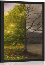 Dovido Posztrer egy fa két változata - 40x60 no frame