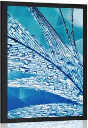 Dovido Poszter reggeli harmat - 30x45 black