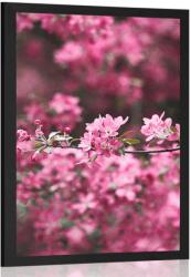 Dovido Poszter cseresznye virágok közelről - 30x45 black