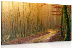 Dovido Kép erdei út - 90x60
