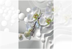 Dovido Tapéta orchidea absztrakt háttéren - 196x270