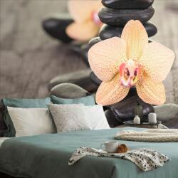 Dovido Öntapadó fotótapéta sárga orchidea Zen kövek - 392x264