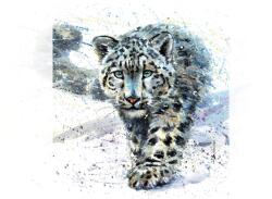 Dovido Tapéta rajzolt leopárd - 245x270