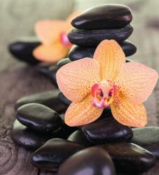 Dovido Fotótapéta sárga orchidea Zen kövek - 245x270