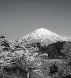 Dovido Fotótapéta Fuji hegy fekete fehérben - 245x270
