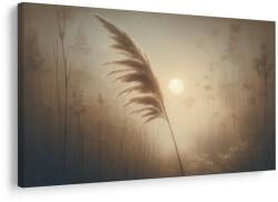 Dovido Kép nádas ködös hajnalban - 120x80