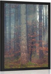 Dovido Poszter az erdő titka - 30x45 no frame