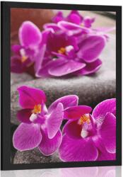 Dovido Poszter csodás kövek Zen és orchidea - 30x45 silver