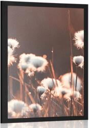 Dovido Poszter pamutfű - 20x30 white